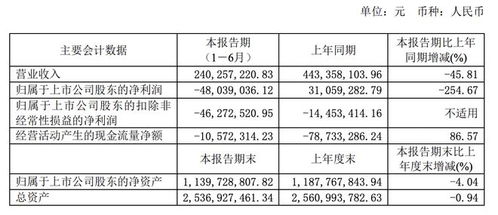 技術(shù)轉(zhuǎn)讓未能扭轉(zhuǎn)頹勢(shì)，空港股份2023上半年由盈轉(zhuǎn)虧凈損4804萬